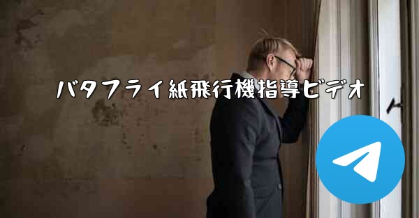 バタフライ紙飛行機指導ビデオ