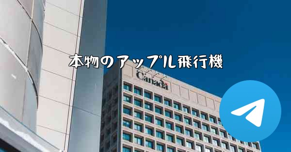 本物のアップル飛行機