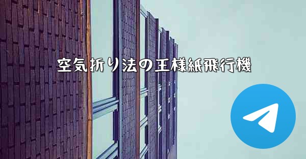 空気折り法の王様紙飛行機