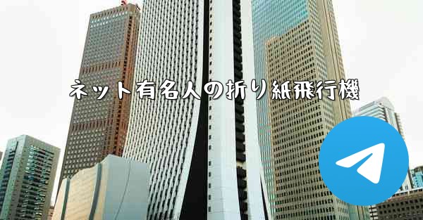 <b>ネット有名人の折り紙飛行機</b>