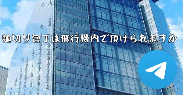 麺切り包丁は飛行機内で預けられますか