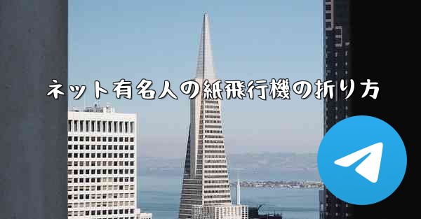 <b>ネット有名人の紙飛行機の折り方</b>