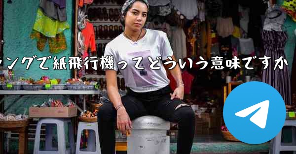 ネットスラングで紙飛行機ってどういう意味ですか