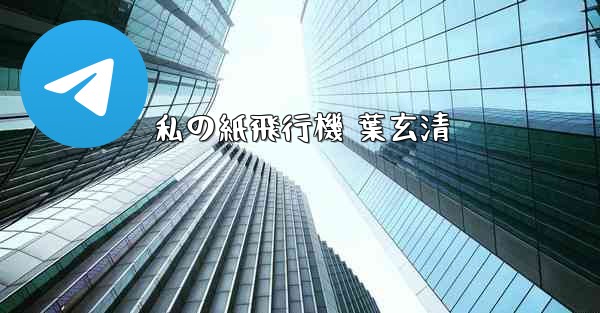 私の紙飛行機 葉玄清