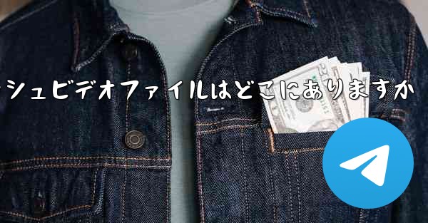 Paper Plane のキャッシュビデオファイルはどこにありますか