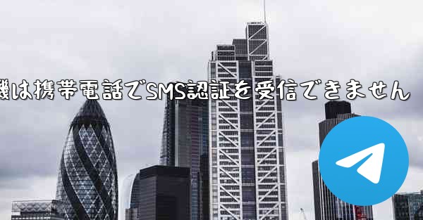 紙飛行機は携帯電話でSMS認証を受信できません
