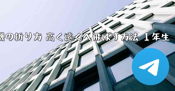 紙飛行機の折り方 高く遠くへ飛ばす方法 １年生