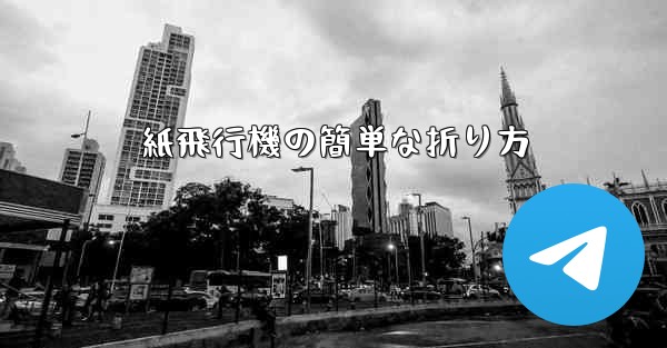 <b>紙飛行機の簡単な折り方</b>